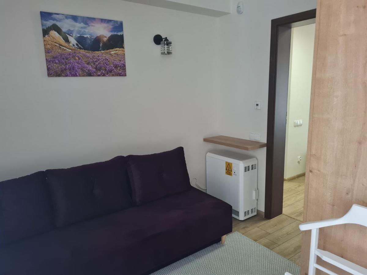Apartamenty Convallis Koscielisko Exterior photo